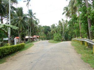 cambugahay-falls-siquijor-getting-there2 cambugahay-falls-siquijor-getting-there2