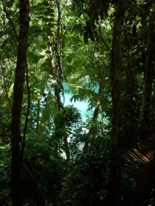 cambugahay-falls-siquijor2 cambugahay-falls-siquijor2