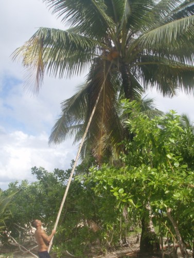 give-me-that-coconut give-me-that-coconut