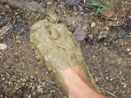 mud-foot-siargao mud-foot-siargao