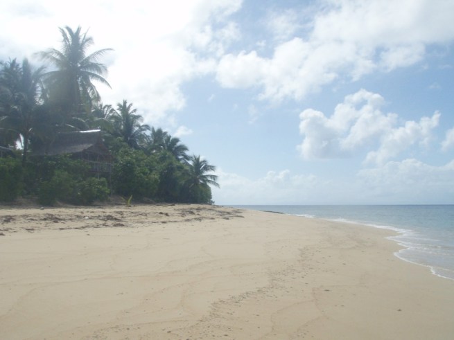 random-island-stop random-island-stop