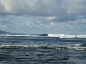 righthander-ff-of-small-island-off-of-stimpys righthander-ff-of-small-island-off-of-stimpys